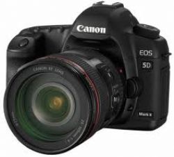 Canon EOS-5D Mark-2 ( 24-105 ) Kit